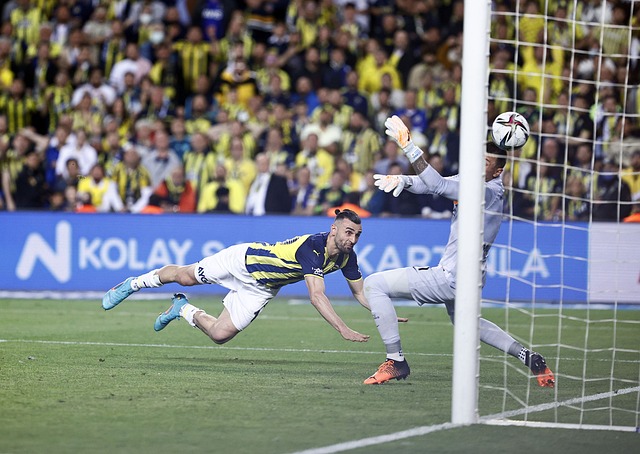 大大提升了 大大提升了