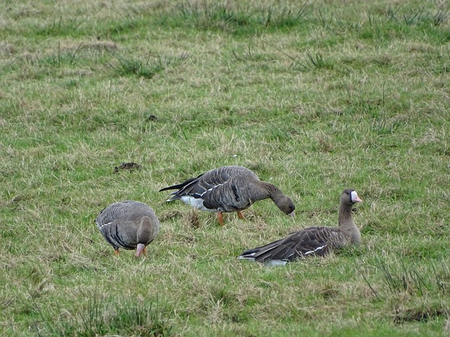 重要方式 重要方式
