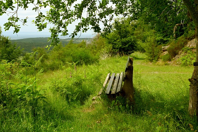 现在赛场上 现在赛场上